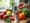 Understanding the Manifestations of Type 2 Diabetes