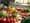 Understanding Type 2 Diabetes Effects on Health and Management